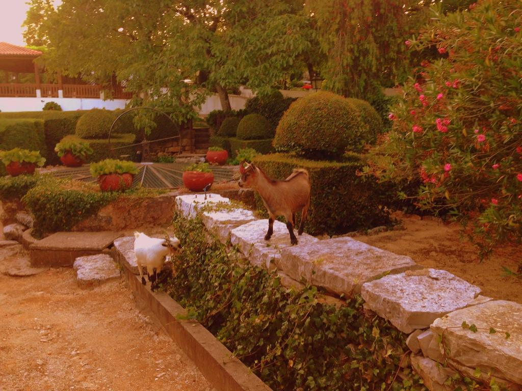 Otium Country House Alvorge Exterior photo